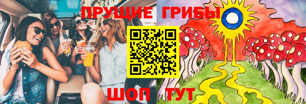 Тара  Псилоцибиновые грибы Psilocybe  Вход с VPN 