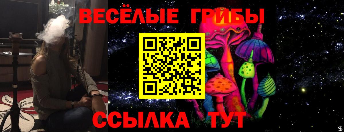 Галлюциногенные грибы MAGIC MUSHROOMS Тара